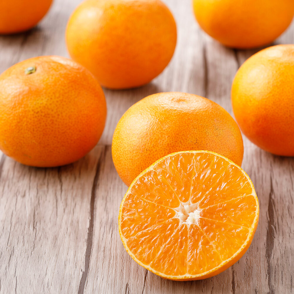 【お歳暮】大分産 天草オレンジ「おひさまきらりん」 2kg【12月上旬〜中旬頃お届け】