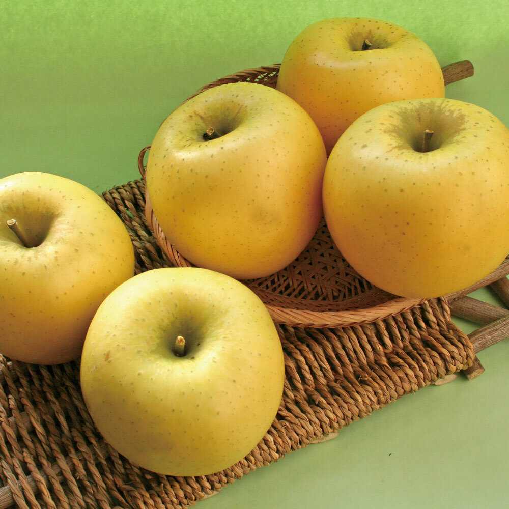 山形・朝日町産「シナノゴールド」 2kg【12月上旬〜12月下旬お届け】