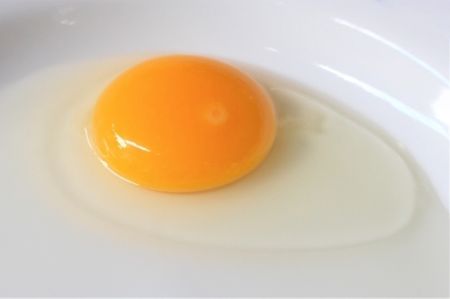 卵白と卵黄のカロリー・糖質は？栄養価の違いやダイエット中の食べ方も紹介！