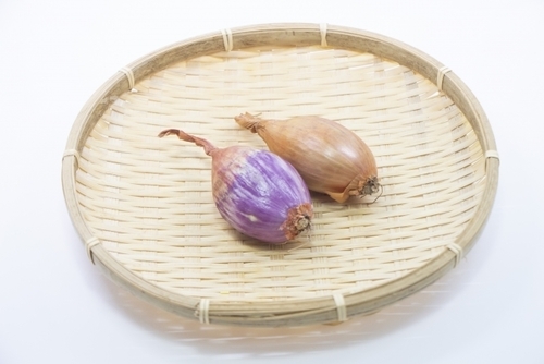 エシャロットとは？生でも大丈夫？食べ方は？栄養素や活用レシピなどを紹介！| ちそう