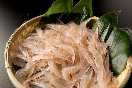 富山名産「白エビ」とは？旬の時期・季節は？美味しい食べ方・レシピも紹介！ | ちそう
