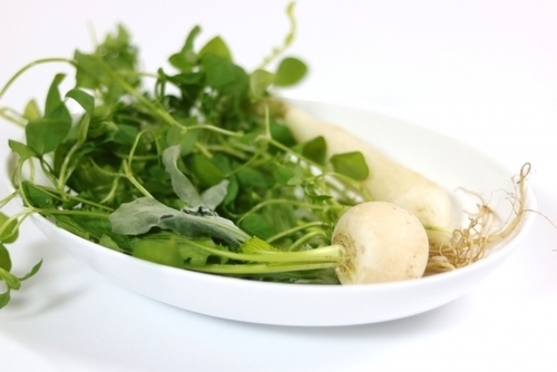 すずなとは？春の七草の1種？名前の由来・花言葉〜食べ方のおすすめまで紹介！| ちそう