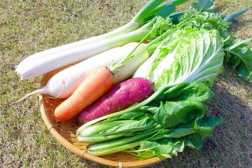 冬が旬の食材といえば？野菜・魚・果物別に15こを一覧で！料理レシピのおすすめも紹介！ ちそう