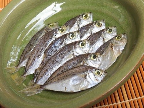 ヒイラギは釣り人に嫌われる魚 毒があるの 捌く注意点や食べ方のおすすめを紹介 ちそう