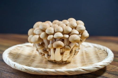 人気1位｜しめじの殿堂入りレシピTOP22【つくれぽ1000】から厳選！| ちそう